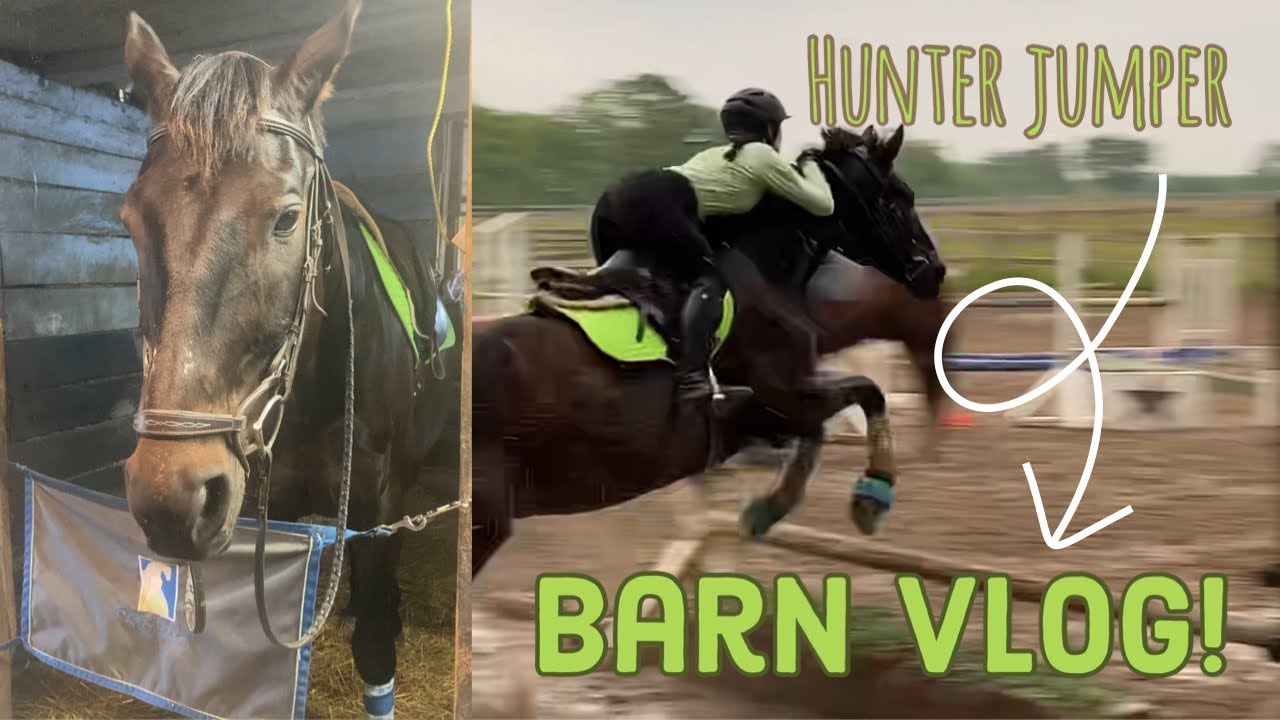 Hunter jumper barn vlog! YouTube