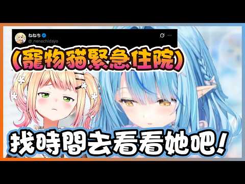 想關心Nene,卻不知能夠說什麼的拉米！【雪花ラミィ/ホロライブ】【Vtuber遜炮中翻】