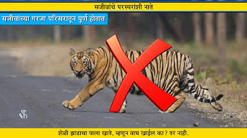 4th EVS 1 | Chapter#02 | Topic#02 | सजीवांच्या गरजा परिसरातून पूर्ण होतात | Marathi Medium