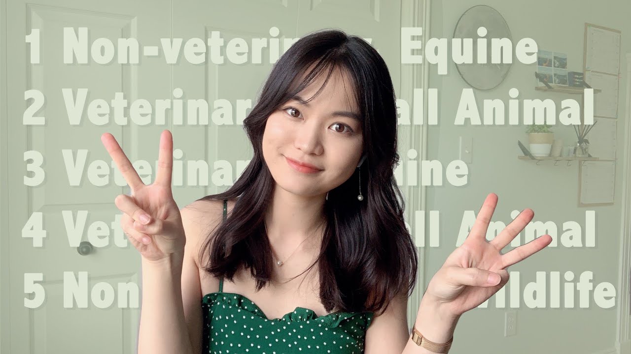 How I got my Veterinary Experience before Vet School│My Pre-Vet Journey