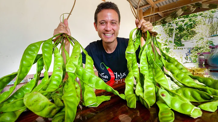 How to Eat STINK BEANS (Petai) | Harvesting & Eati...