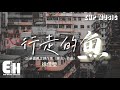 行走的鱼 Mp3 Mp4 Free download