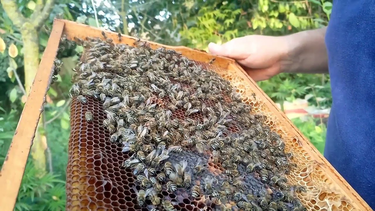 Bölmələrimizin son durumu