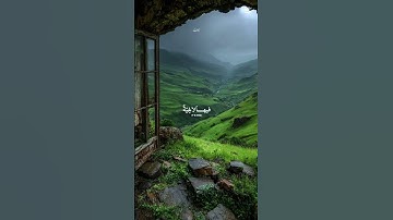 سورة الغاشية #القارئ عبدالرحمن مسعد #قرآن