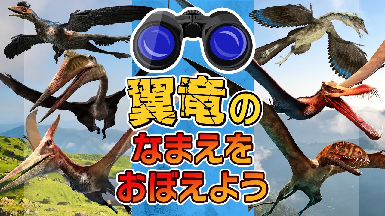 【★翼竜の名前を覚えよう★】どんな翼竜が出てくるかな？！プテラノドン,ケツァルコアトルス,アンハングエラ