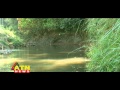 Reserve forest of Bandarban, Bangladesh - YouTube