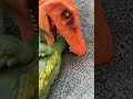 Baryonyx death