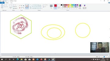 Class 1  Paint   Part 6  Brush tool