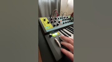 Modular Techno Loop with Moog Matriarch