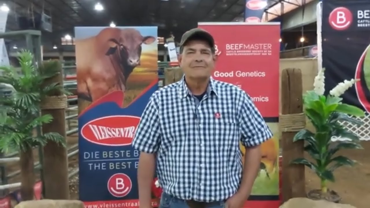Hendrik, president van Beefmaster SA, die middag voor die Beefmaster SA Nasionale veiling.