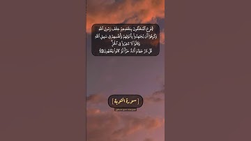 سورة التوبة الآية ٨١ و ٨٢ بصوت الشيخ محمد صديق المنشاوي