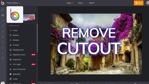 How to Remove Cutout in Befunky 2025?