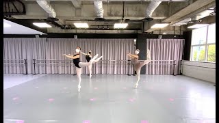 Barreworks Dance Exposure Series 4 - Le Corsaire Variation With Ms Rosa Park