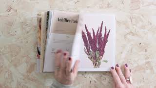 Dried Flowers - Book Flip screenshot 2