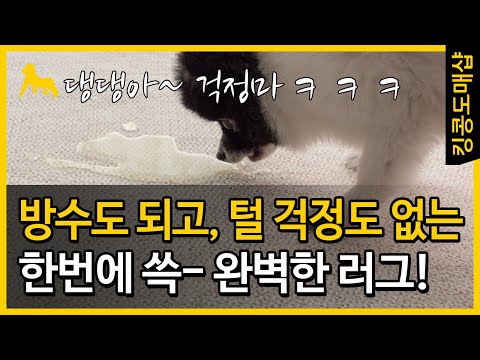 반려동물이 실수해도 걱정없는 완벽한 러그, 스마트스토어, 킹콩도매샵