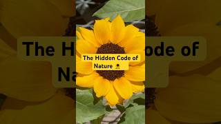 The Hidden Code of Nature 🌻✨ #maths #nature #science Profile