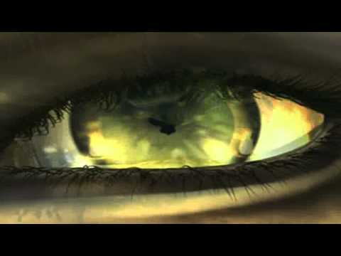 Shadow Minds -