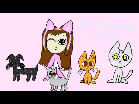 Видео: Мои домашние питомцы (и не только мои)🦮🐕🐈🐇🐩/ анимация Милка/ #рек #анимация #Milkaanimstsia