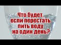 На сколько вода важна для человека