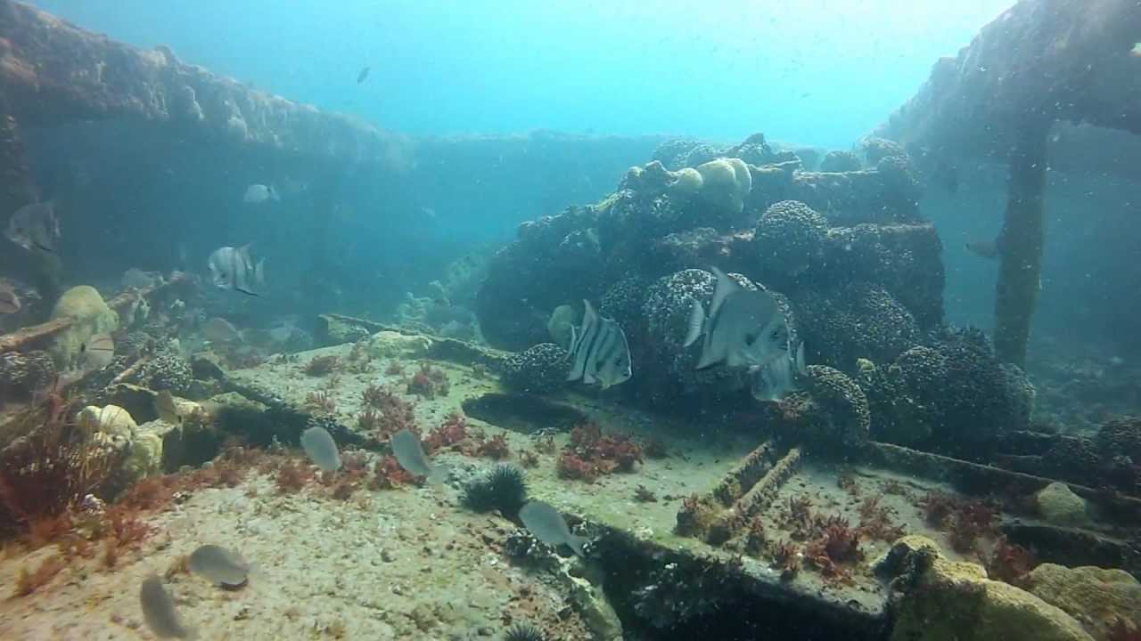 Hatteras Wreck Diving YouTube