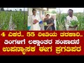 4  ಎಕರೆ. 55 ರೀತಿಯ ತರಕಾರಿ.. ತಿಂಗಳಿಗೆ ಲಕ್ಷಾಂತರ ಸಂಪಾದನೆ  | Modern Farming | Karnataka TV