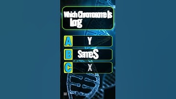 Can you get 6/6,? #quiz #quiztime #trivia #quizchallenge #quizknowledge #learnontiktok #viralshorts