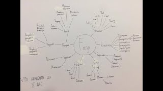 Penjelasan Mind Mapping Jamur/Fungi