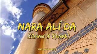 Nara Ali Da | Slowed & Reverb | Ali Shanawar | Hussaini Diaries