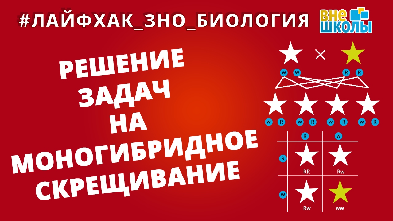 Лайфхак_ЗНО_Биология. Решение задач на моногибридное скрещивание - YouTube
