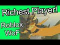 The Richest Player in Roblox Wings of Fire | Admin Interview