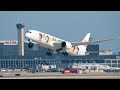 Japan Airlines (Arashi JAL-Hawaii Livery) takeoff