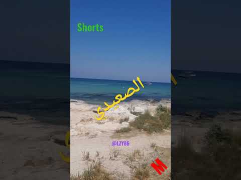 محمود الليثي الصعيدي