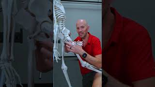 Stop Stretching Your Hip Flexors Like This