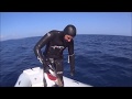 CMAS Spearfishing World Champion George Vasiliou No.3