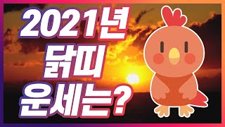 [월화당TV]2021년​​​​​ 신축년​​​​​ 닭띠​​​​​의 신년운세​​​​​는? 부동산운​​​​​ 부터…