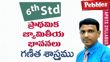 Basic Geometrical Ideas | Class 6 Maths Telugu Medium | For all competitive exams