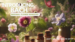 Bach Original Flower Remedies by Dr. Cara Olsen 34 views 4 weeks ago 1 minute, 47 seconds