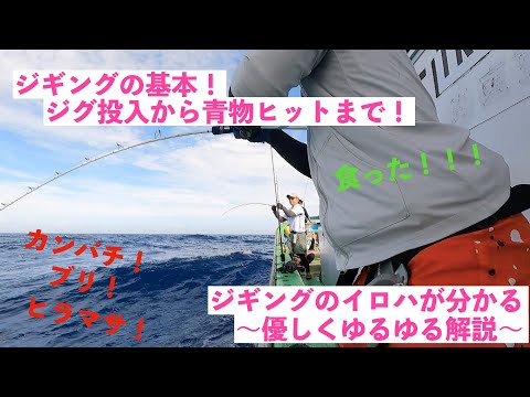 【ジギング初心者必見！】青物シギングの基本を実際に釣りながら解説！カンパチ・ブリジギングは簡単！【小笠原諸島 母島】Amberjack Jigging