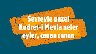 Türkü