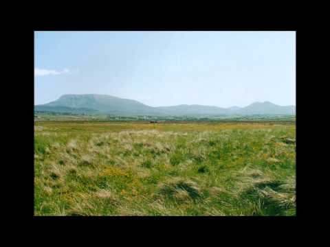 Lucy Farr's Barndance