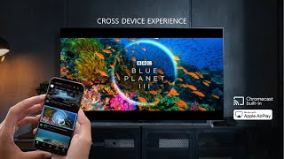 LG OLED TV: How to Chromecast & Apple AirPlay | LG 4K TV Tutorial