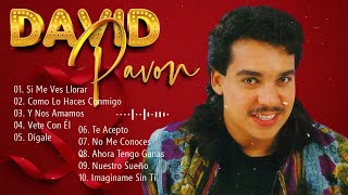 Salsa Music🎶Lo Mejor De David Pavón - Mix Salsas Romanticas De David Pavón - Salsa Romantica Mix