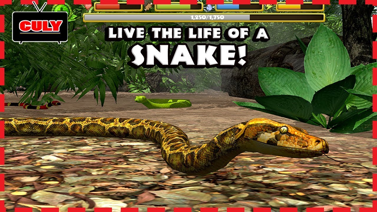Trò Chơi Snake Survival Rắn Săn Mồi Chuột Thỏ Cuộc Sống Sinh Tồn Của Loài  Rắn Cu Lỳ Chơi Game Lồng T - Youtube
