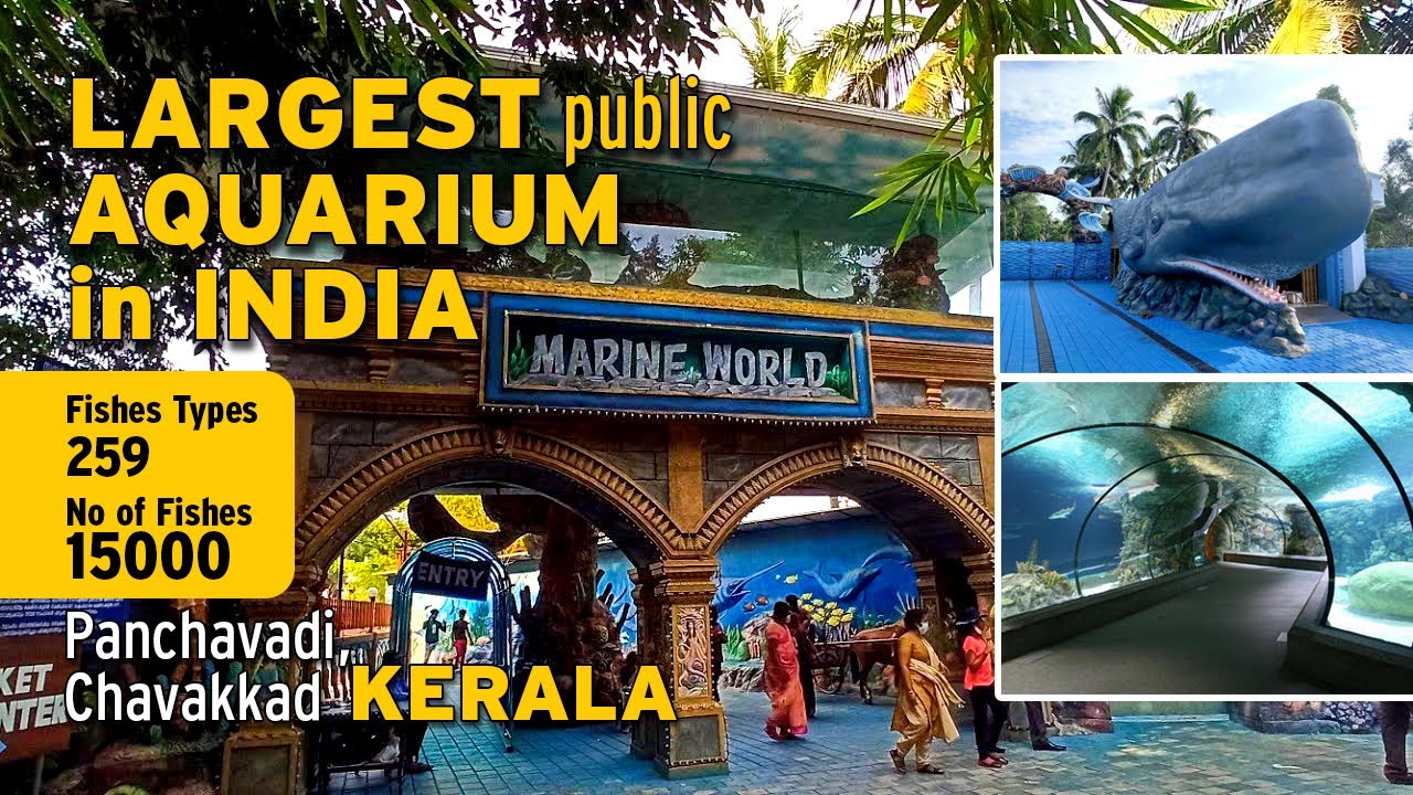 Marine World Chavakkad Largest public aquarium in Kerala YouTube