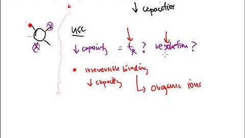 IC Video 19:  Column Capacity & Selectivity in Ion Chromatography; What Factors Affect the Process?