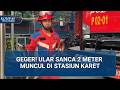 Ular Sanca 2 Meter Muncul di Stasiun Karet, Penumpang Panik saat Seberang Rel