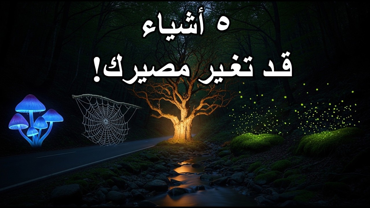 5 أشياء صغيره قد تكون سبباً فى تغيير مصيرك