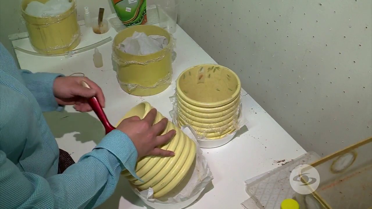 Reproducción de insectos para control biológico | La Finca de Hoy