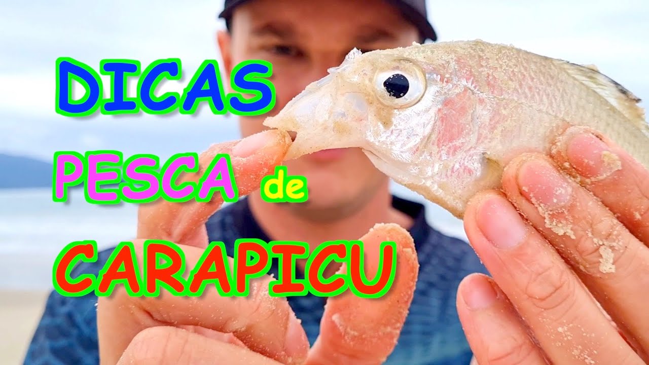 DICAS de pesca de CARAPICU