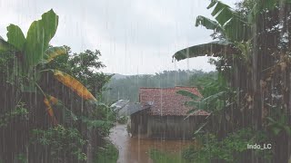 Afternoon Rain in My Village, The Sound is Soothing and Eliminates Anxiety Until You Fall Asleep